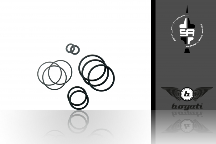 O-Ring Set Xent & Bogati RTA - SUTT-ART