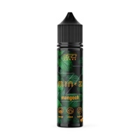 MINZ Mangooh Longfill-Aroma (Mango, Kaktus & Minze) - KTS