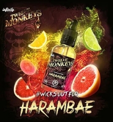 12 Monkeys 30ml HARAMBAE 80VG (Zitrusfrüchte, Guave) - E-Liquid made in CANADA