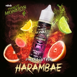 12 Monkeys 50ml HARAMBAE OVERDOSED - E-Liquid made in CANADA