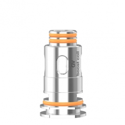 Ersatz Verdampferkopf für die Aegis Boost - GEEKVAPE