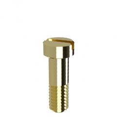 Gryphus Pluspol Schraube - I Mist